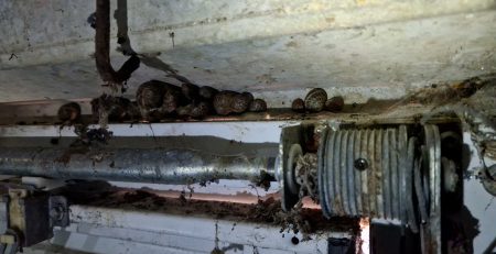 An old rather neglected canopy spring on a Hormann Garador housing a colony of snails.